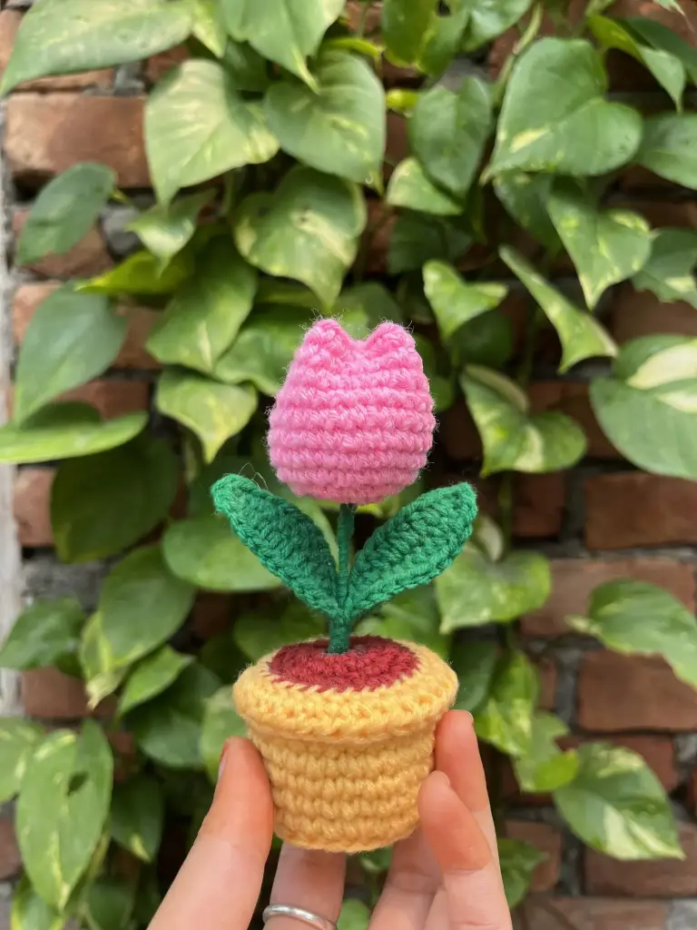 Tulip Treasure.webp