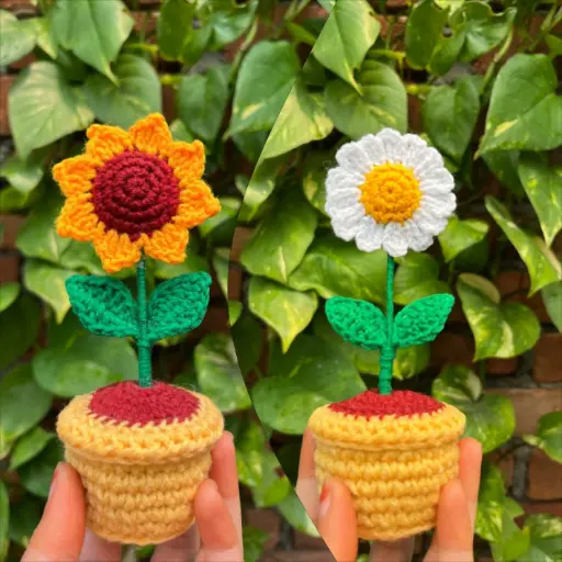Daisy Delight & Suny smile combo