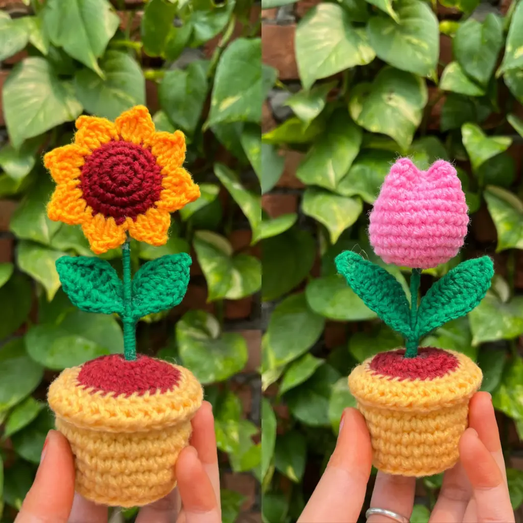 Suny Smile & Tulip Treasure combo